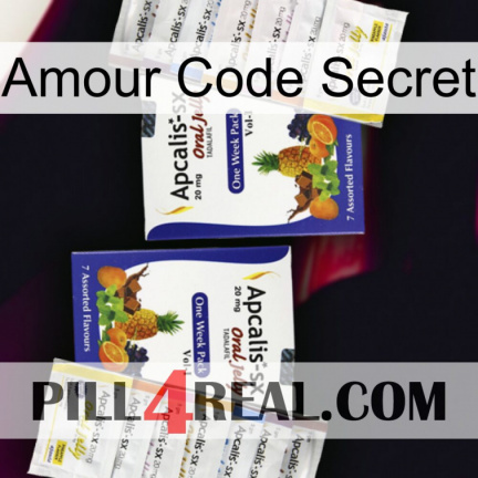 Love Secret Code 12